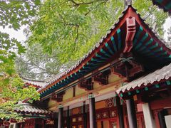 -趵突泉景区