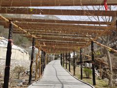 -大平台龙居瀑布旅游区