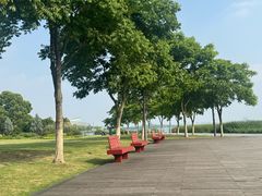 -金鸡湖景区