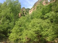 iphone_upload_pic-邢台紫金山