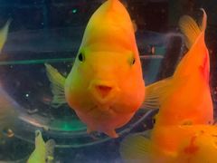 -多彩贵州城极地海洋世界