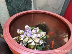 -猫色咖啡·猫咖