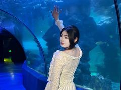 -左海海底世界