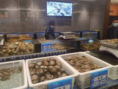 水产区-东海怡品海鲜豆捞(星街坊店)