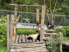 -黔灵山公园