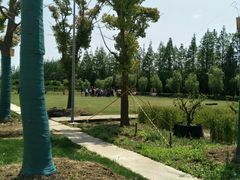 -前小桔亲子创意农场·草莓采摘·露营烧烤