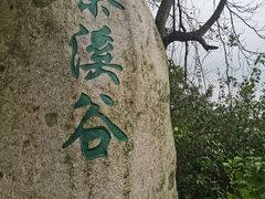 -东部华侨城