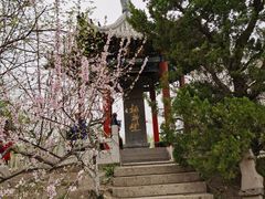 -桃花堤公园