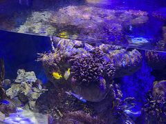 -香港海洋公园