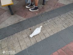 -国色天乡三期陆地乐园
