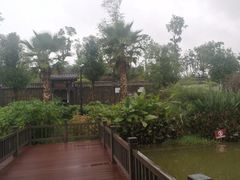 -枫香湖儿童公园