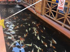 -侠成水上农庄(工业大道店)