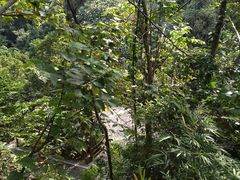 -海南槟榔谷黎苗文化旅游区