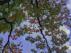 -南通濠河风景名胜区