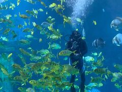 -太平洋海底世界