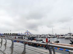 -东港音乐喷泉广场