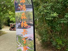 -上海海湾国家森林公园