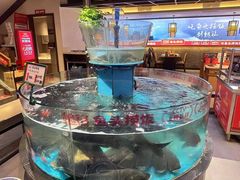 -魏铭鱼头捞饭(晋阳路店)