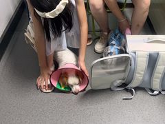 -半岛宠物医院24小时(科华中路店)