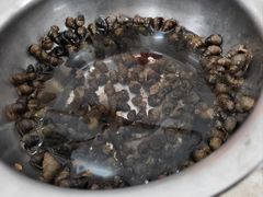 -洲心明记烧肉大粥(总店)