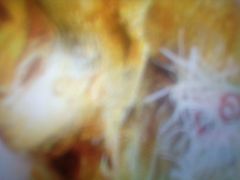 -龙海鲜螃蟹王(宏茂桥店)