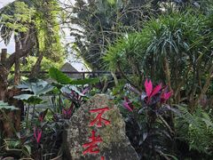 -海南热带野生动植物园