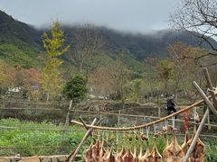 -塔川景区