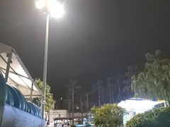 -重庆海昌加勒比海水世界