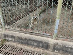 -宿豫区运河湾森林动物园