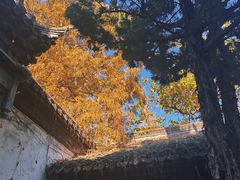 -枫泾古镇-人民公社旧址