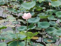 -桃源咖啡厅(武夷山大红袍山庄店)