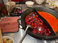 -朱光玉火锅馆(正弘城店)