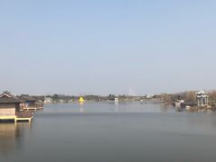 -杭州湾海上花田景区