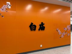 -桃花堤公园