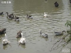 -西安秦岭野生动物园