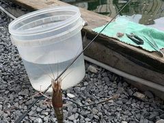 -DGE季风钓虾营地·团建·聚会