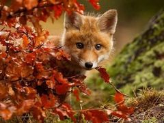 -星海汇海鲜自助烤肉火锅(百大店)