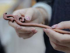 -五月木作·DIY木作文创体验店(北京路店)