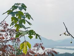 -杭州黄龙洞