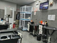 -宠物家(大兴旧宫店)