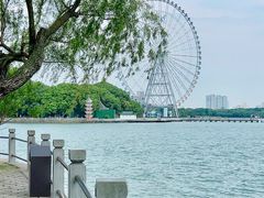 -无锡蠡湖国家湿地公园-蠡园