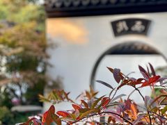 -上海共青森林公园