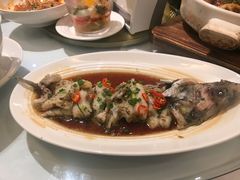 东坡江团鱼-眉州东坡(国贸店)