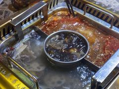 -蜀九鼎毛肚火锅(惠安店)