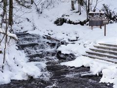 -峡谷浮石林景区