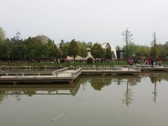 -中国西峡恐龙遗迹园