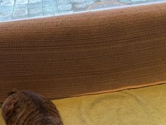 -御宝贝·A梦猫科宠物医院(国际猫友好医院)