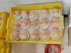 -老袁家蜜桃农场·阳山水蜜桃