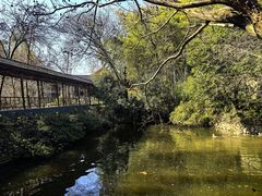 -木子山庄·安徽省老字号·中国炖锅宴
