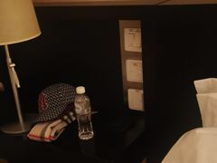 -国家会议中心大酒店